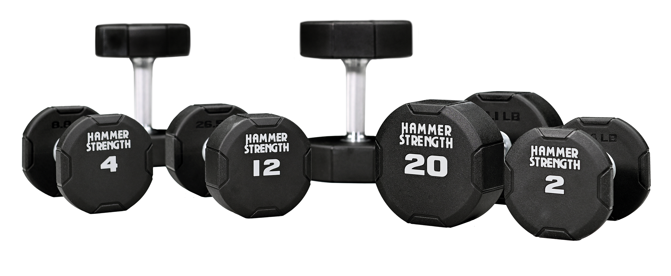 Life Fitness　ライフフィットネス　ウレタンダンベル　28kg　1個 Life Fitness ライフフィットネス ウレタンダンベル 28kg 1個